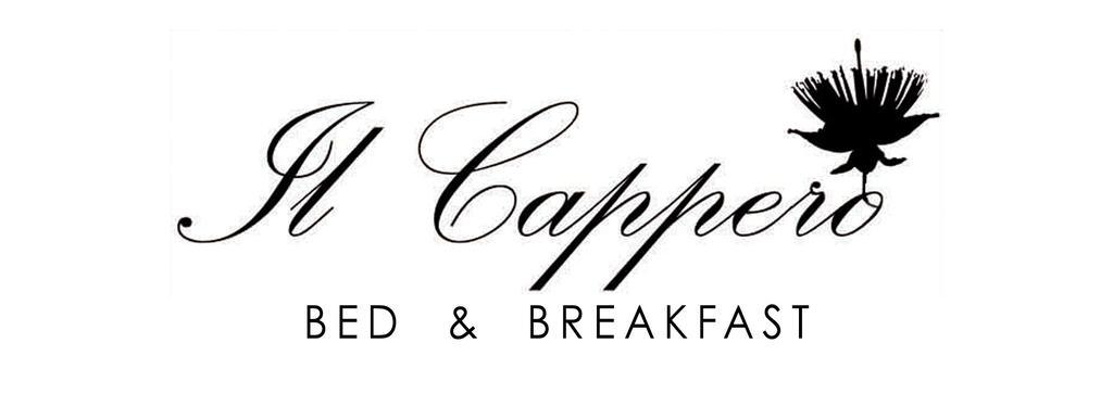 Bed And Breakfast Il Cappero Rapolano Terme Εξωτερικό φωτογραφία